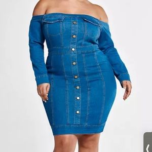 Alexis Off the Shoulder Denim Dress